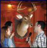 Buck der singende Hirsch - Singing Deer